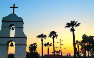 Dogs bark and Cats meow