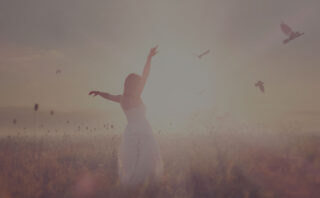 Dogs bark and Cats meow